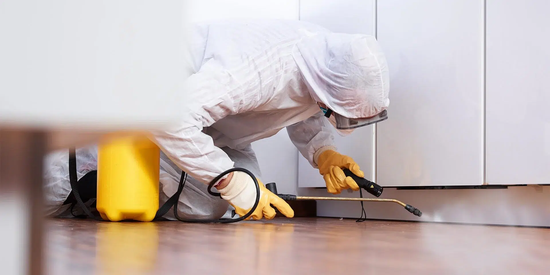 Effective Pest Control: Protecting Your Home and Health